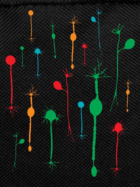 Neurons tetrad