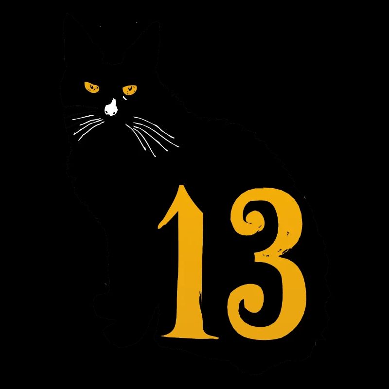 schwarze Katze Nummer 13