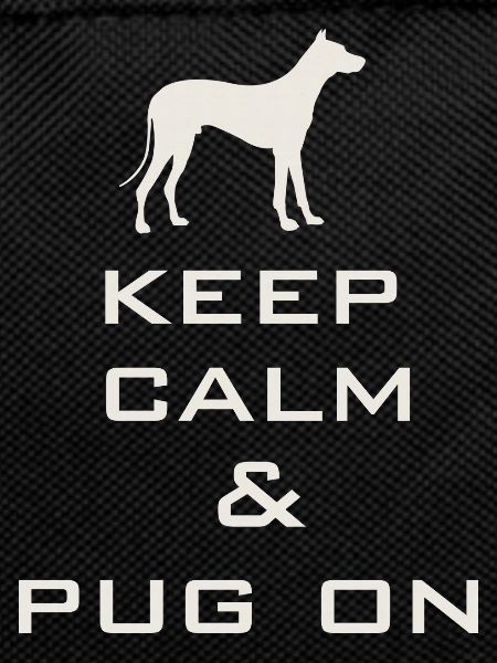 Keep Calm and Pug On