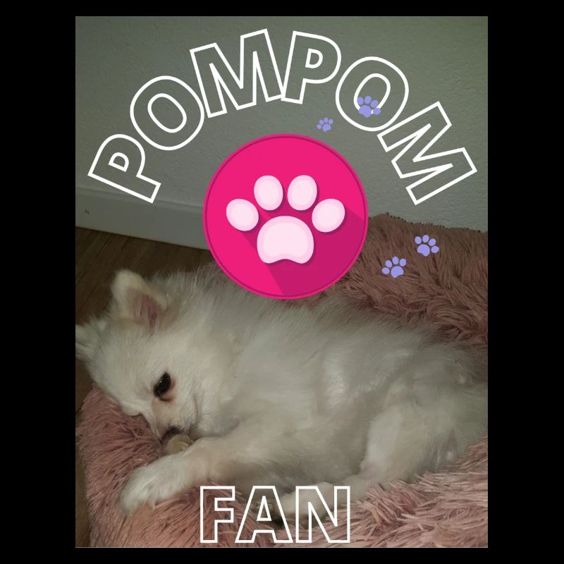Pom Pom 1