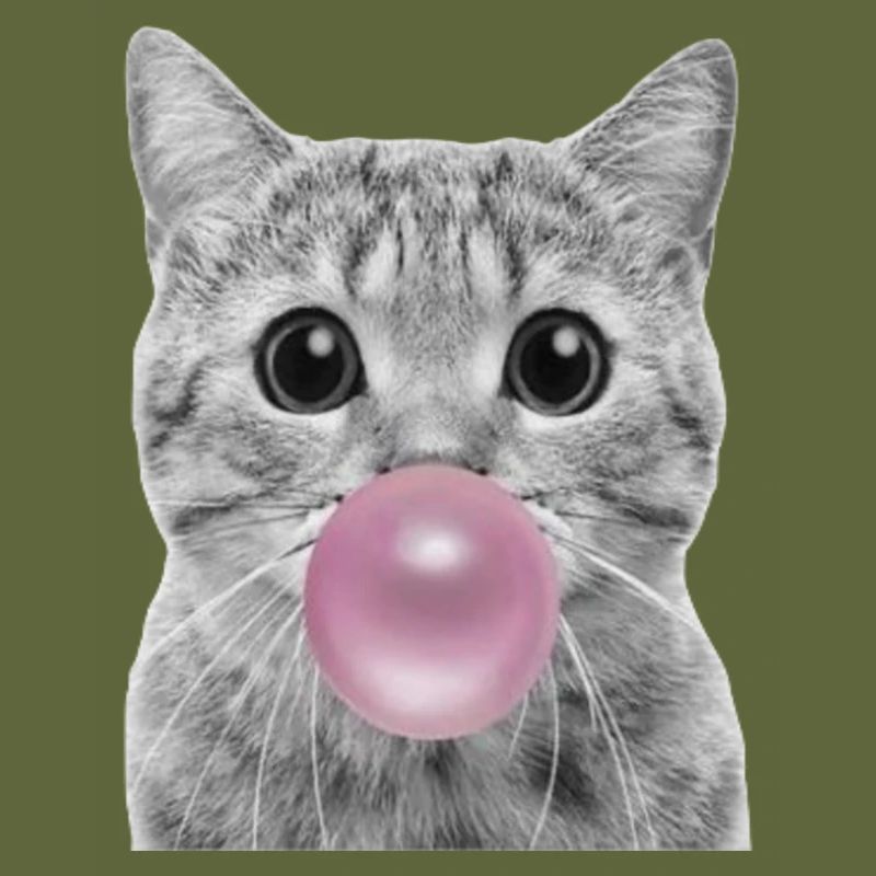 Bubble Katze