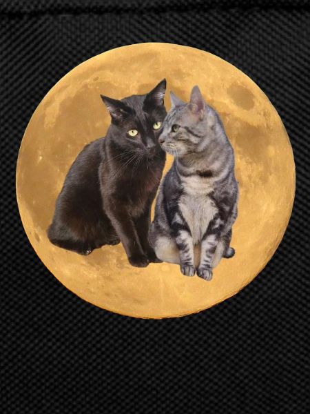 The brothers background planet 2
