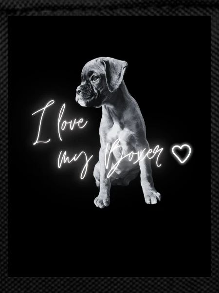 I love my Boxer