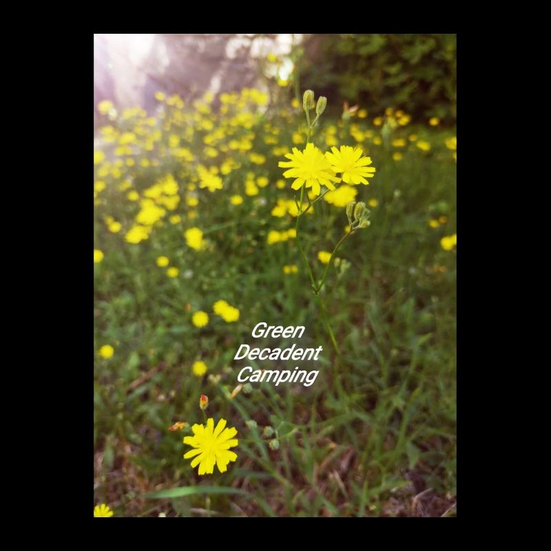 Green Decadent Camping