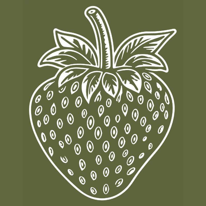 Strawberry Fruit Fruit