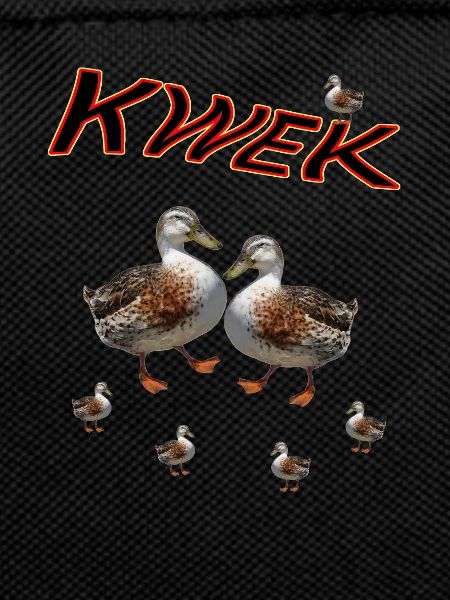 Canard Canard