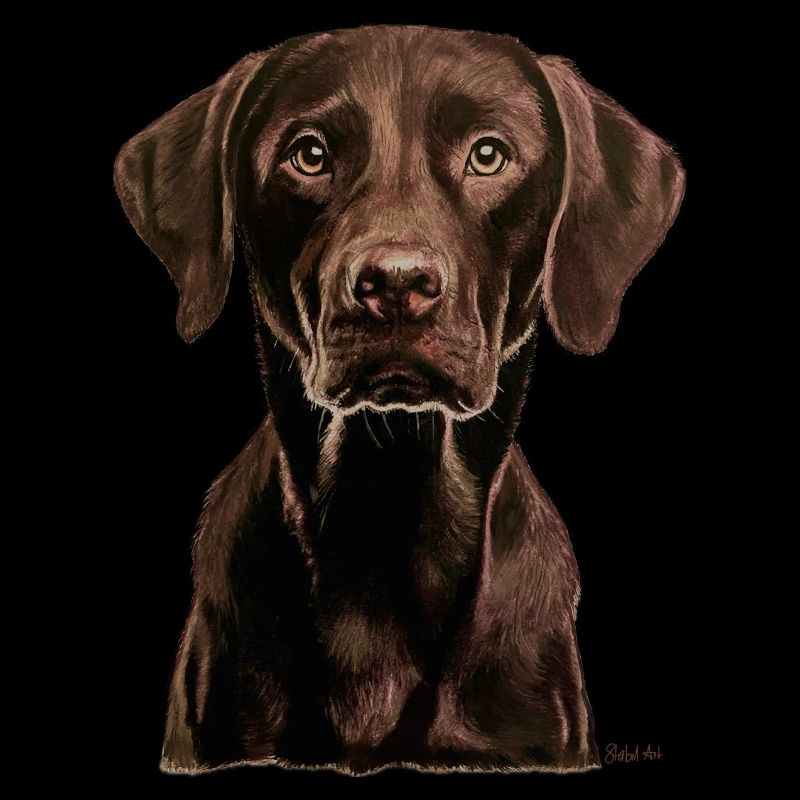 Labrador
