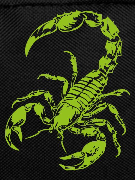 Scorpion