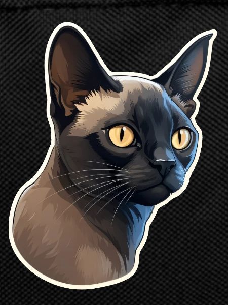 Burmese Cat