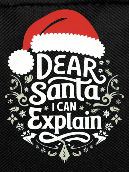 Dear Santa I can explain