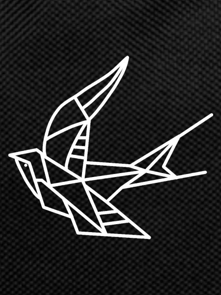 Bird Swallow Geometry