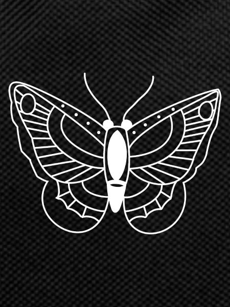 Butterfly Spring Insect