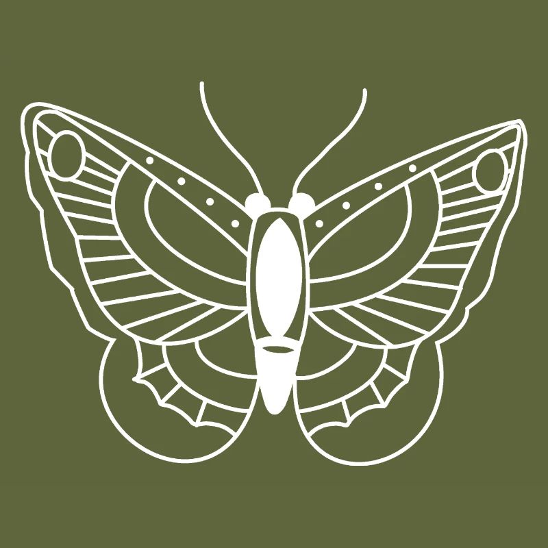 Butterfly Spring Insect