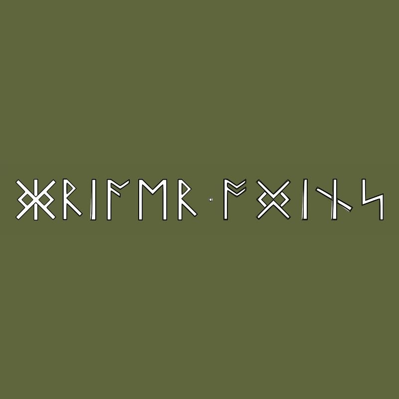 Krieger Odins Runen Schrift Germanen Wikinger