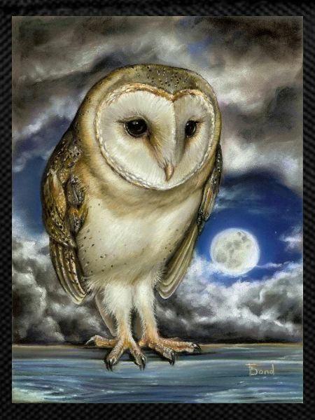 Moon Watch