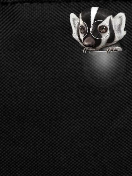 POCKET BADGER