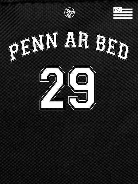 penn_ar_bed1