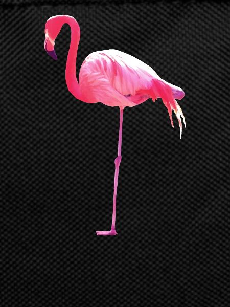 Pink Flamingo