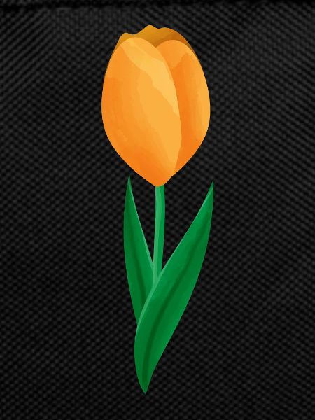 Flowers Spring Tulip - Gift Idea