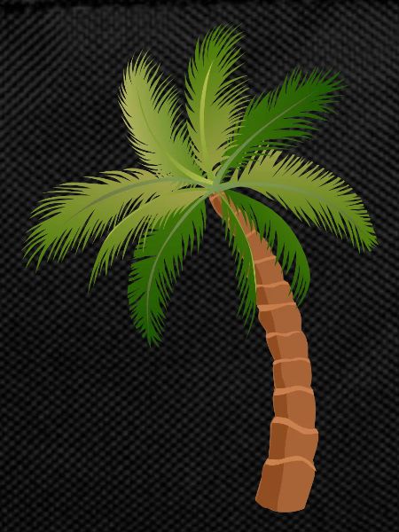 palm tree palm trees