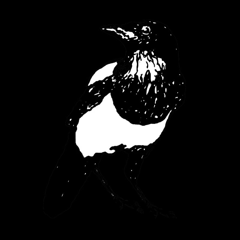 Magpie Bird * Jack Joblin Design