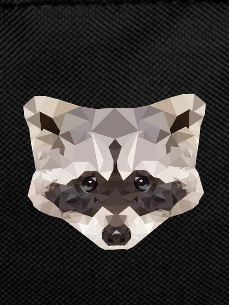 Raccoon polygon