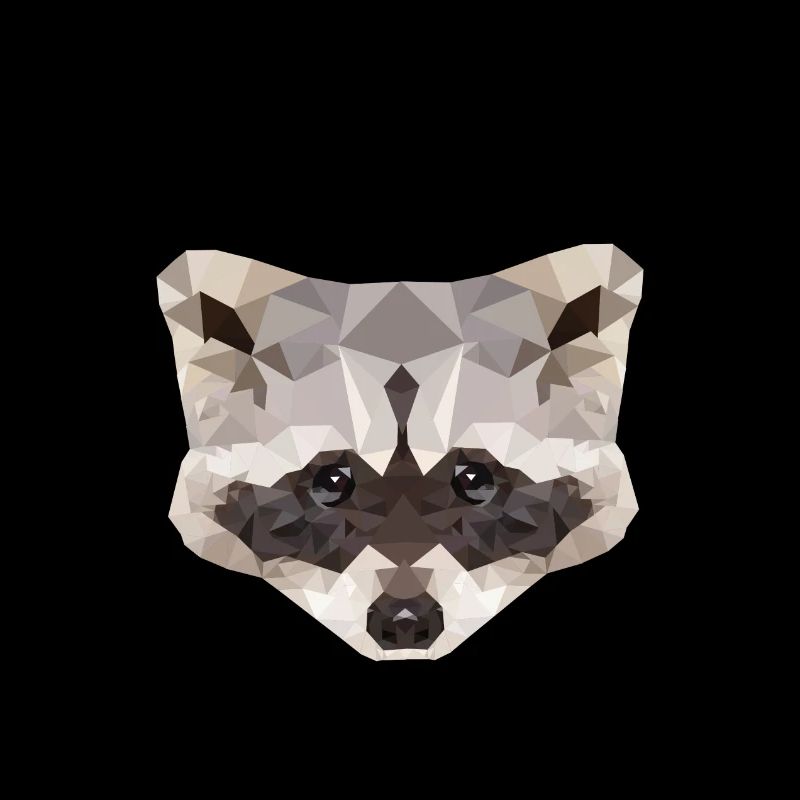 Waschbär Polygon