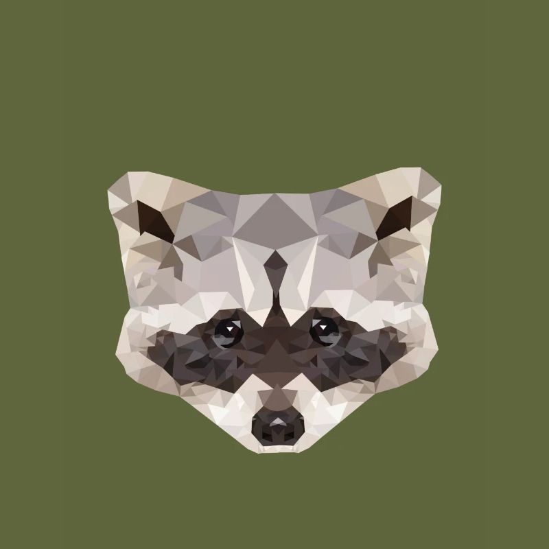 Waschbär Polygon