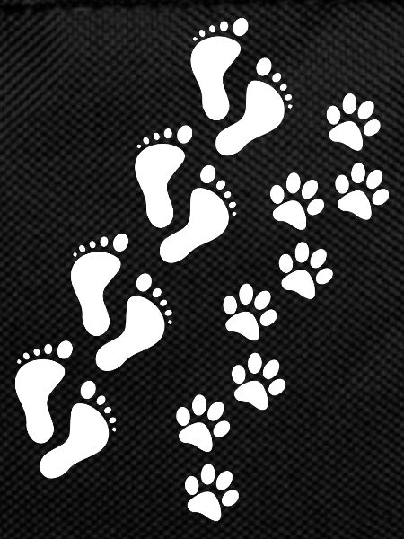 Dog dog