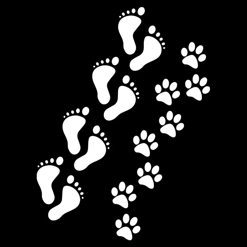 Chien chien