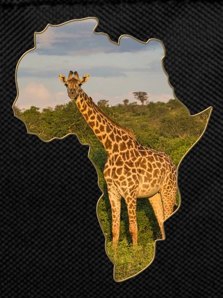 Giraffe in Kenya