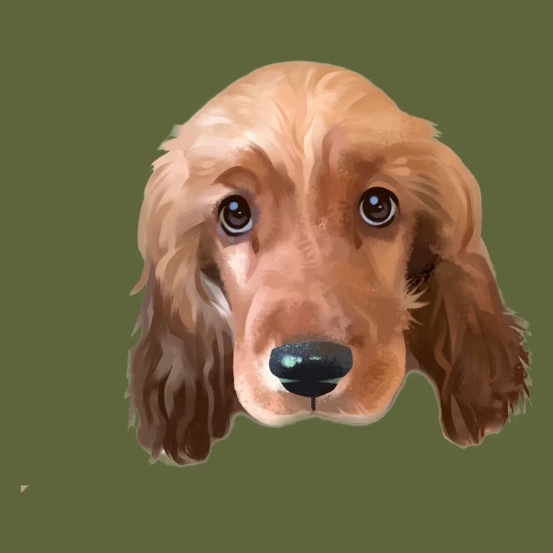 Cocker Spaniel dog