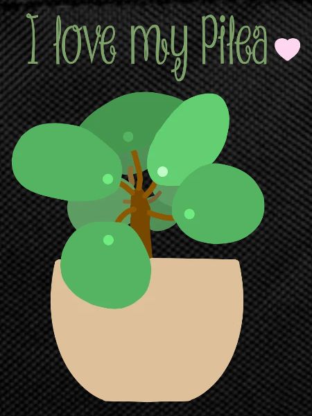 I love my Pilea