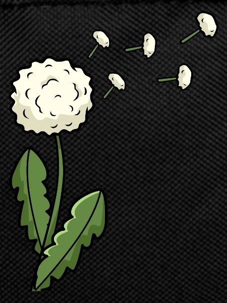 Dandelion