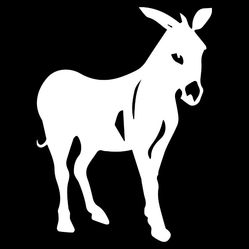 Donkey Esel