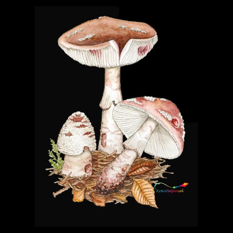 Champignon perlé (Amanita rubescens)