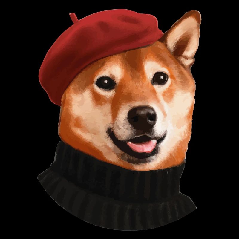 Shiba Hund mit Mütze und Pullover