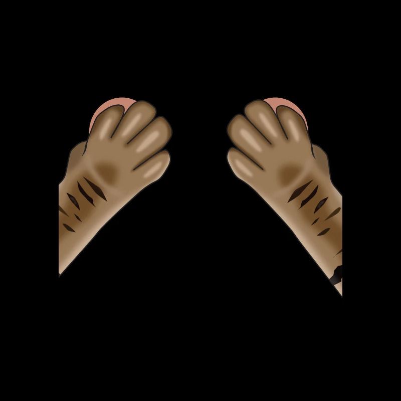 Cat Paws