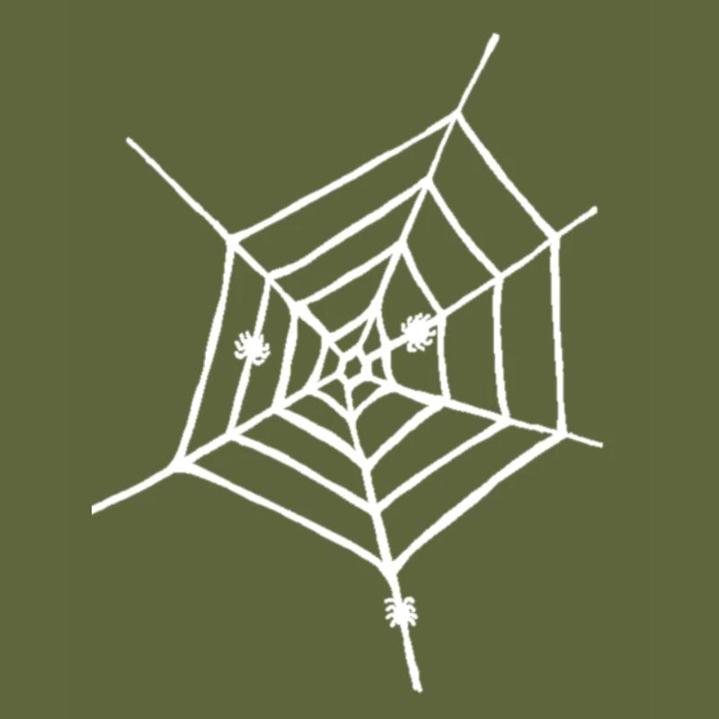 Spider web white