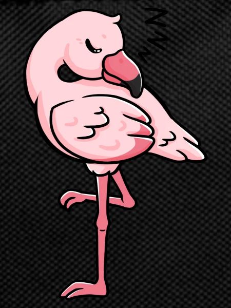Flamingo sleeping gift idea