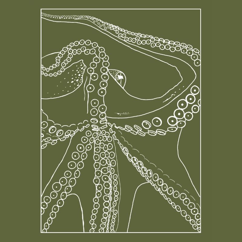 Octopus from below with frame