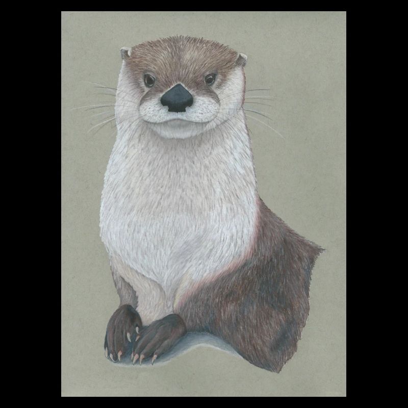 230324 Loutre 3