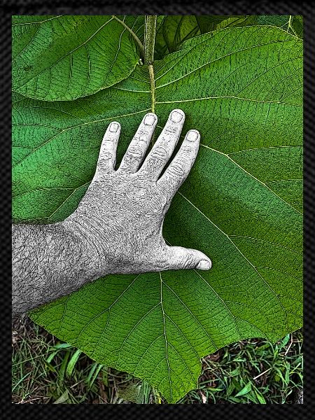 Die Hand am Leben