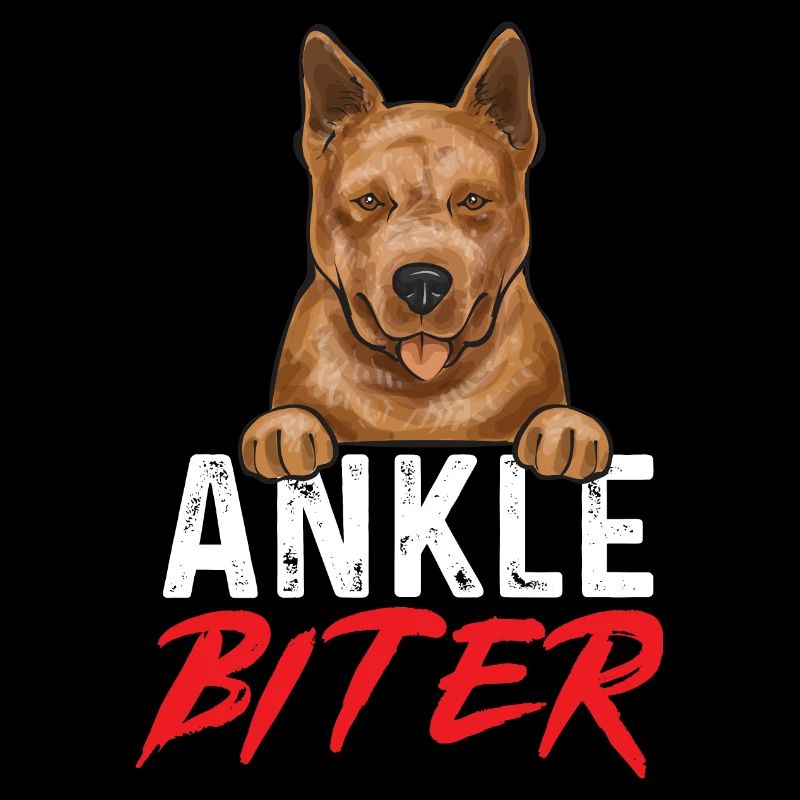Australian Cattle Dog Red Blue Heeler