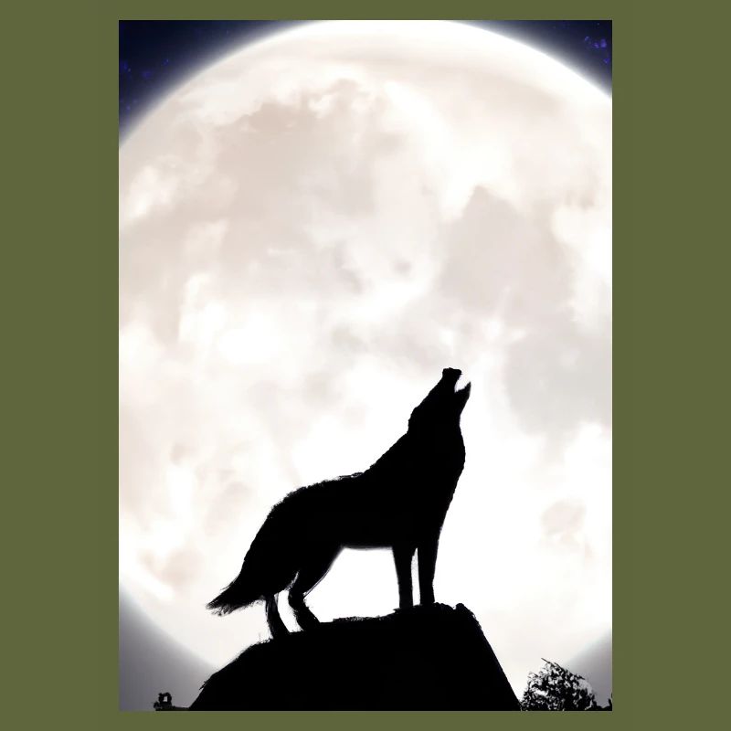 Wolf bei Nacht