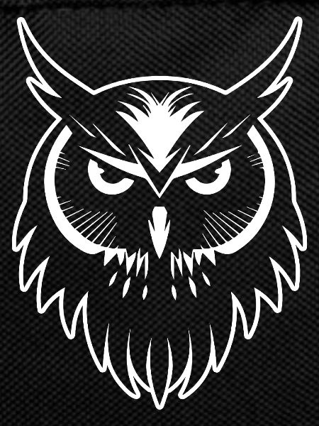 Owl Owl Bird Birds