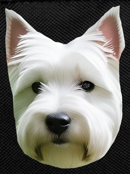 chien