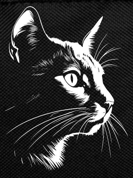 Katze, katzenmotiv
