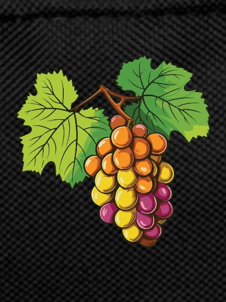 Raisin Fruit