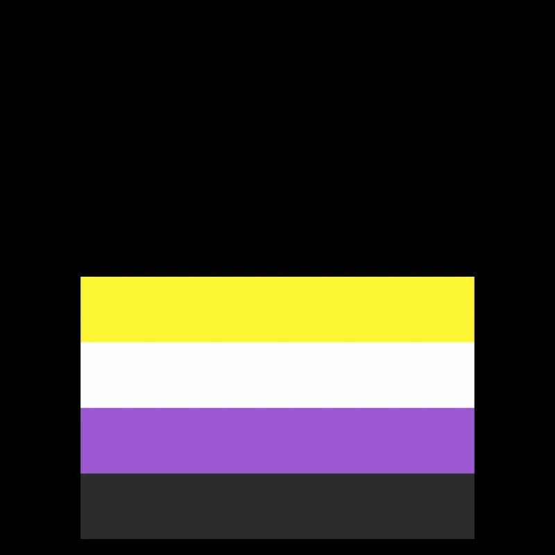 Non Binary Flag Defying Gender Norms